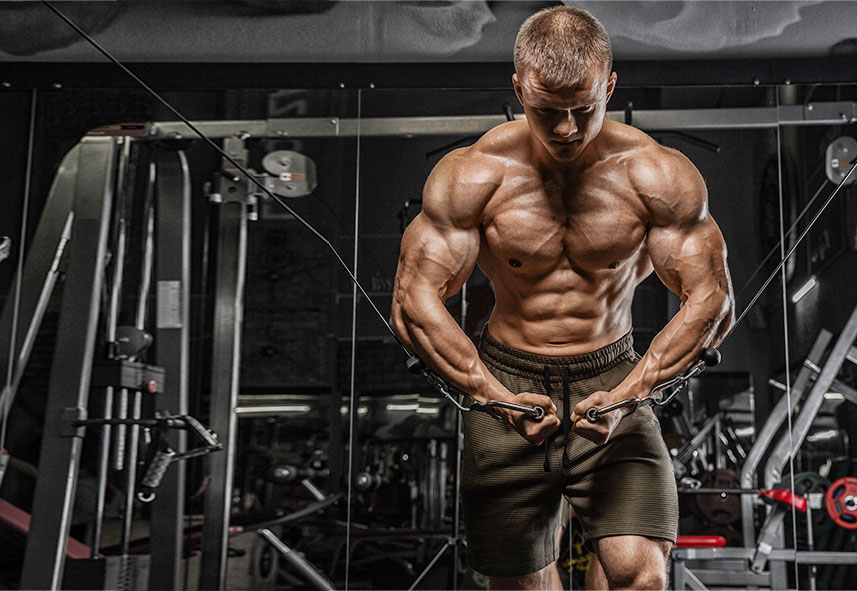 The Very Best in Anabolic Steroids